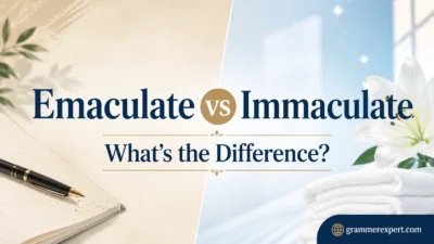 Emaculate vs Immaculate: What’s the Difference? 