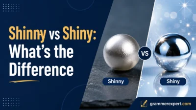 Shinny vs Shiny: What’s the Difference