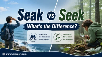 Seak vs Seek: What’s the Difference?